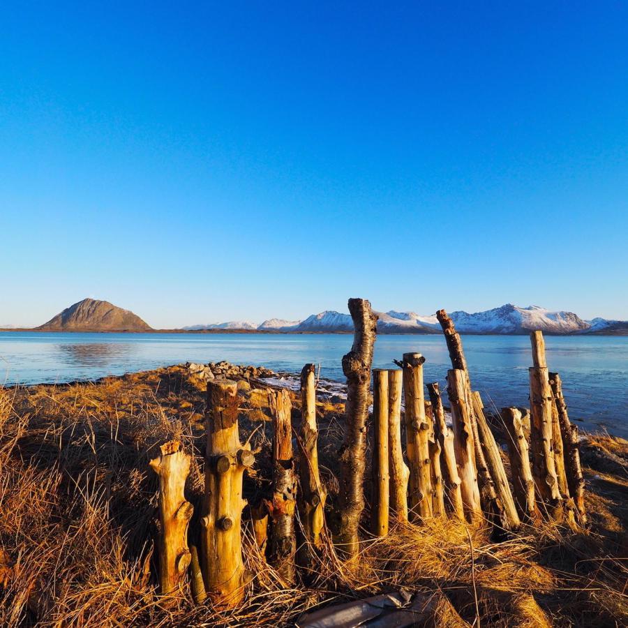 Eagle View Lofoten Bostad Eksteriør billede